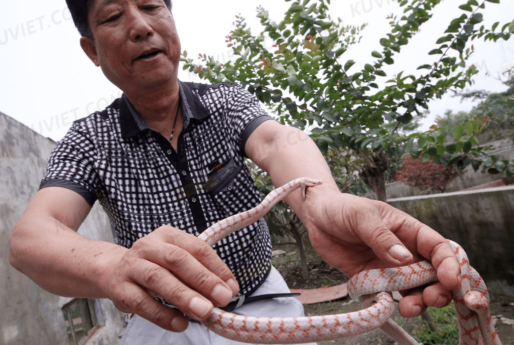 TRANG CHỦ ĐĂNG NHẬP NHÀ CÁI 789BET CASINO