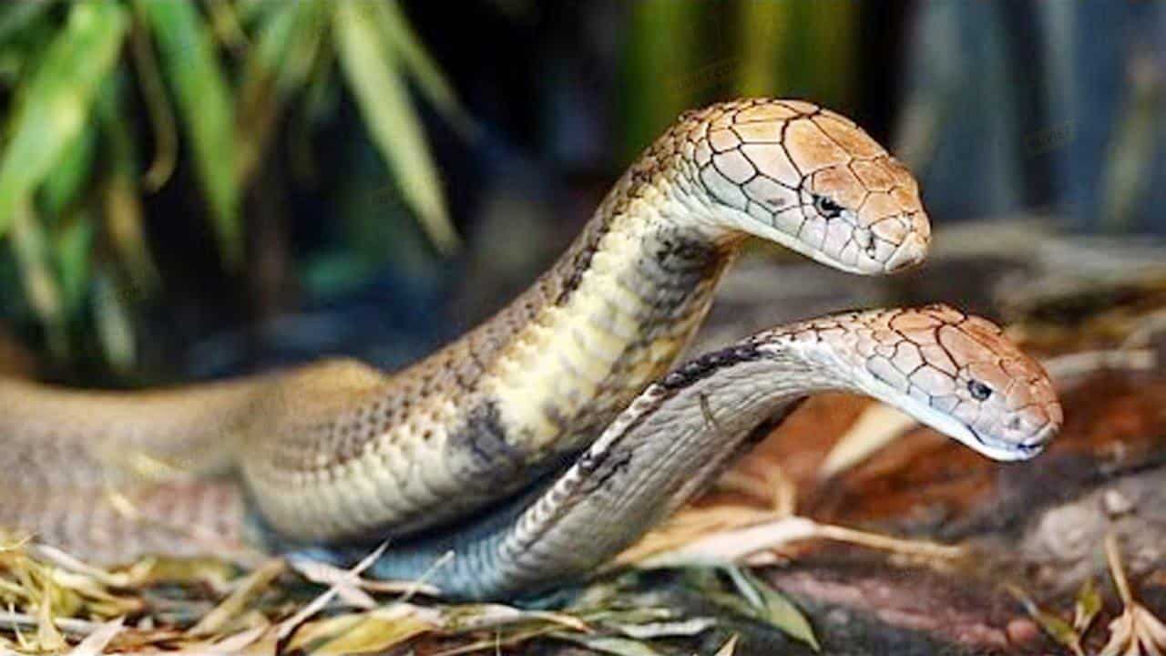 TRANG CHỦ ĐĂNG NHẬP NHÀ CÁI 789BET CASINO