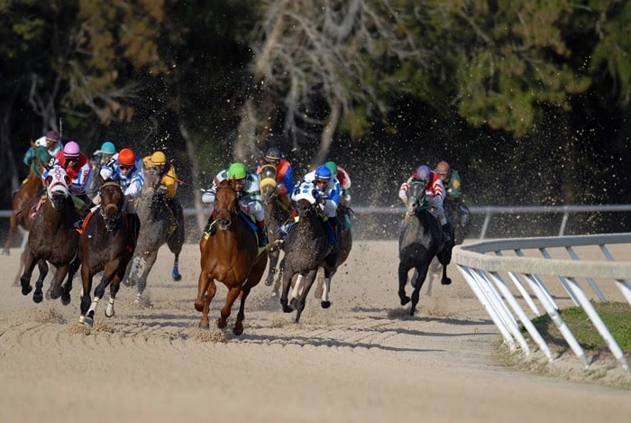 TRANG CHỦ ĐĂNG NHẬP NHÀ CÁI 789BET CASINO