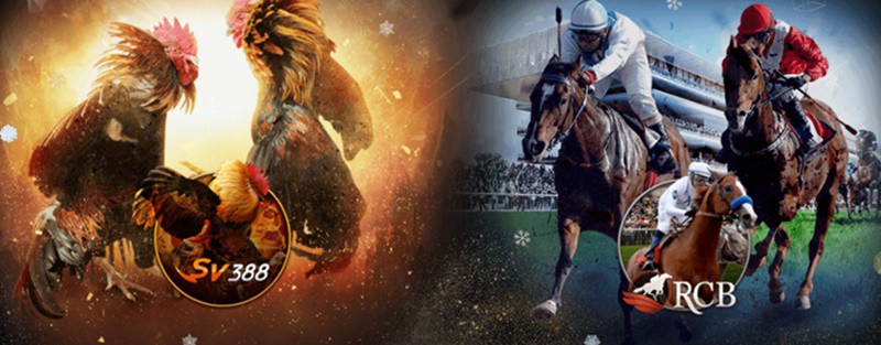 TRANG CHỦ ĐĂNG NHẬP NHÀ CÁI 789BET CASINO