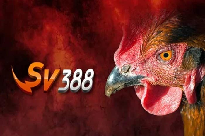 TRANG CHỦ ĐĂNG NHẬP NHÀ CÁI 789BET CASINO