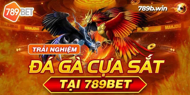 Những lý do mà bạn nên chọn đá gà 789bet THOMO khi muốn cá cược 3 02/04/2026 Da ga 789bet 2 02/04/2026