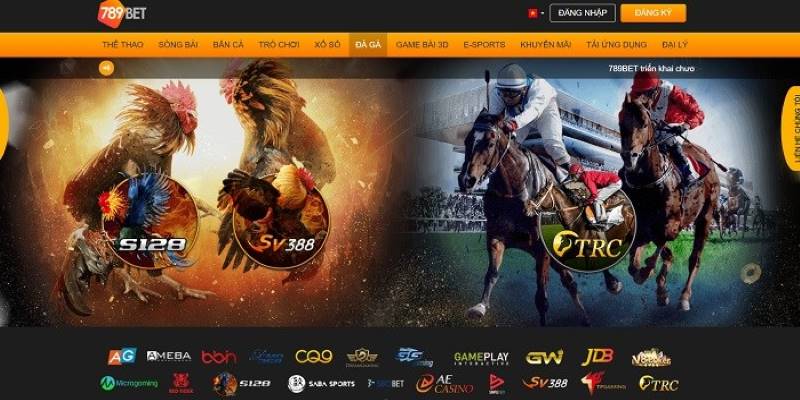 Những lý do mà bạn nên chọn đá gà 789bet THOMO khi muốn cá cược 4 02/04/2026 Da ga 789bet 3 02/04/2026