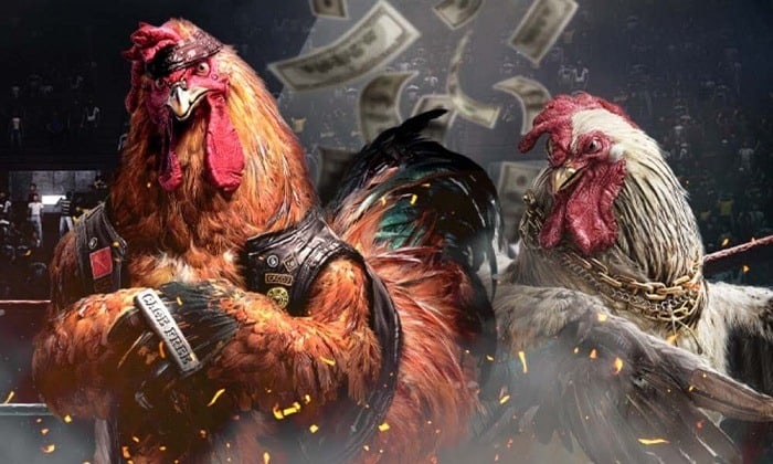 Những lý do mà bạn nên chọn đá gà 789bet THOMO khi muốn cá cược 5 02/04/2026 da ga 789bet 6 02/04/2026