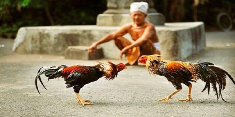 TRANG CHỦ ĐĂNG NHẬP NHÀ CÁI 789BET CASINO