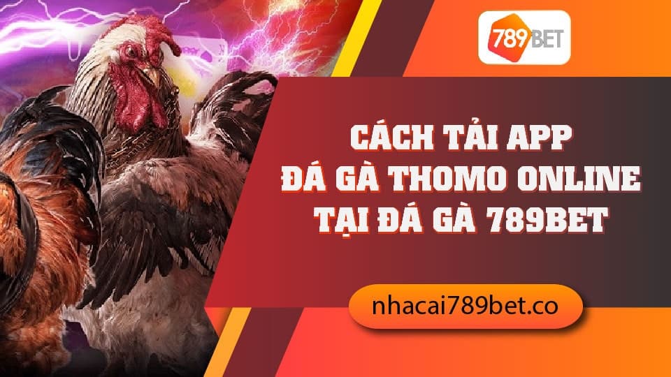 Cách tải App Đá Gà Thomo Online tại Đá gà 789bet