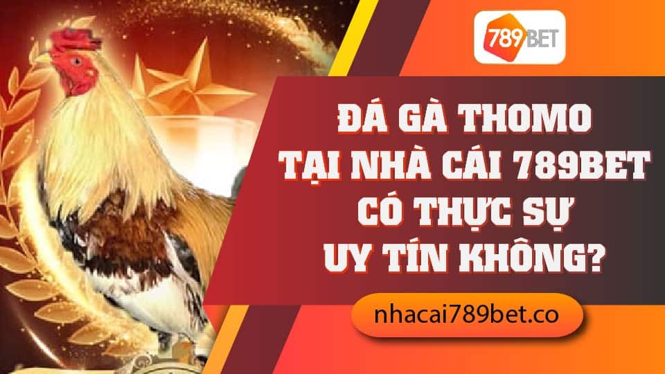 Đá Gà Thomo Tại Nhà Cái 789bet Có Thực Sự Uy Tín Không?