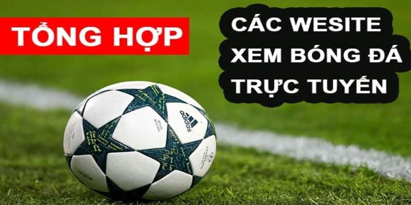 Danh sách các trang xem bóng đá trực tiếp online xịn nhất hiện nay