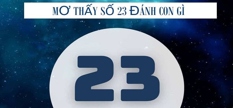 Mơ đề về 23 đánh con gì là may mắn, chuẩn nhất?