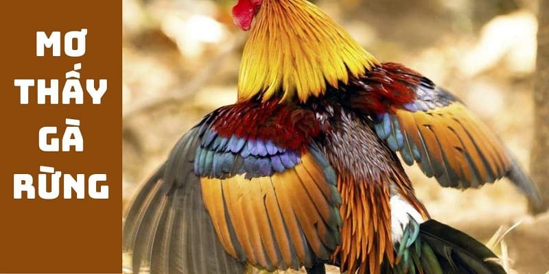 Mơ thấy bản thân bắt được gà rừng