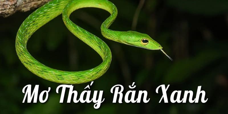 Ngủ mơ thấy bản thân bị rắn xanh cắn