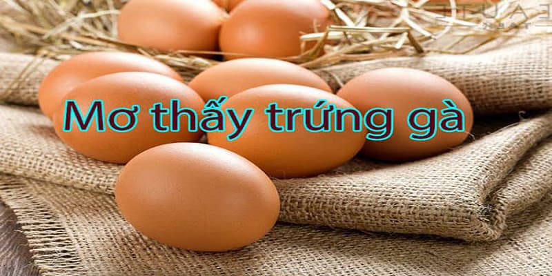 Mơ thấy trứng gà đánh lô gì là chuẩn?