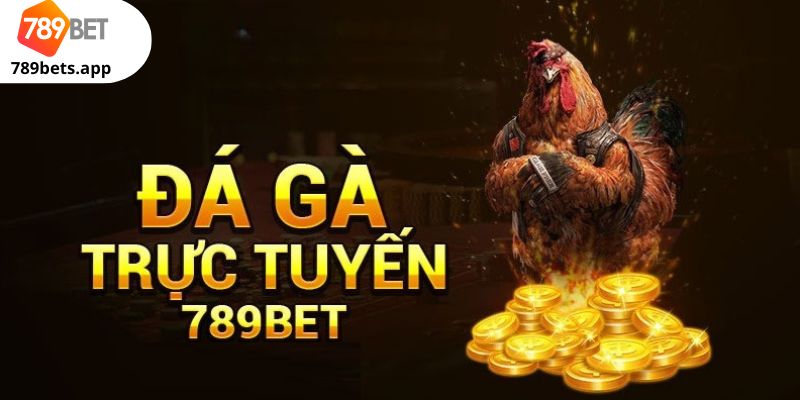 Kinh Nghiệm Cược Đá Gà 789BET Dễ Thắng Dành Cho Bet Thủ 