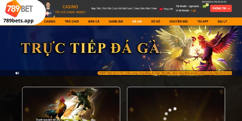 Kinh Nghiệm Cược Đá Gà 789BET Dễ Thắng Dành Cho Bet Thủ 3 02/04/2026 Tại sao đá gà 789BET trở nên phổ biến?