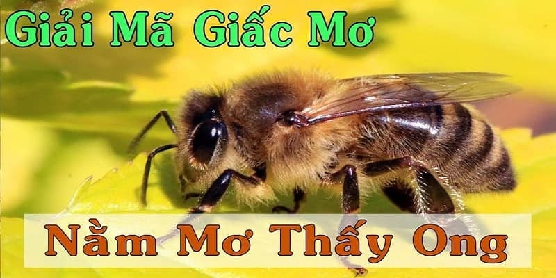 Mơ thấy ong bay lượn khắp vườn