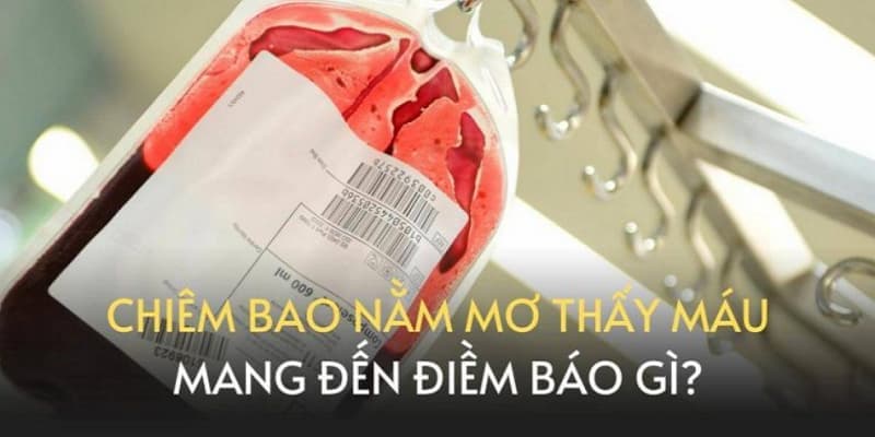 Giấc mơ thấy máu đánh con số nào thắng lớn? Ý nghĩa giấc mơ 6 02/04/2026 Mơ thấy máu và người đã mất từ lâu