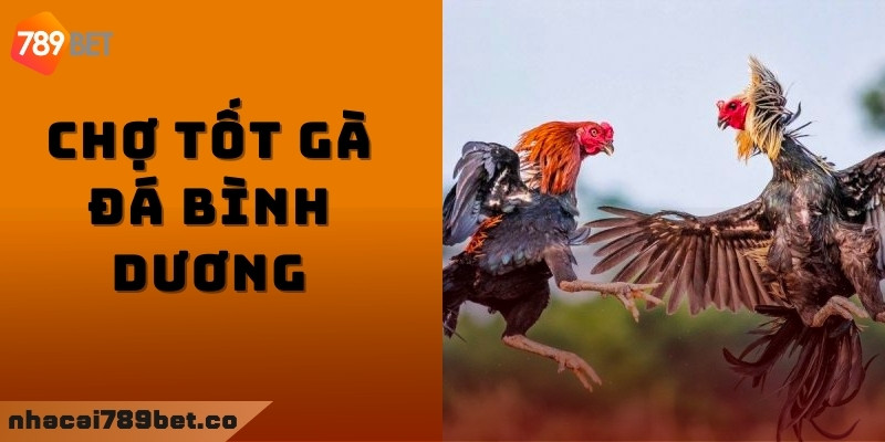 Chợ tốt gà đá Bình Dương có ưu điểm gì nổi bật?