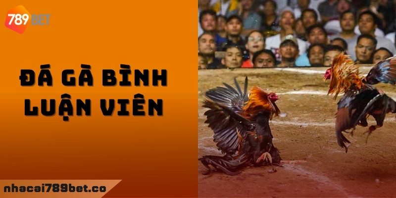 Đá gà bình luận viên là gì, bet thủ đã biết?