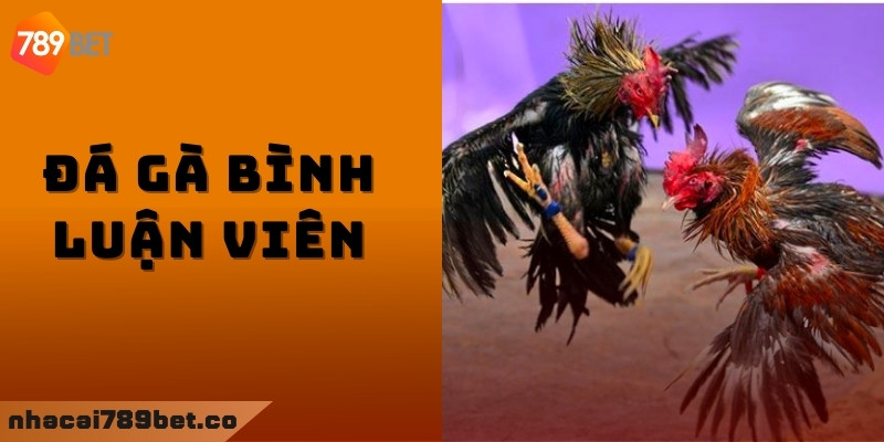 Thế nào là đá gà trực tiếp C1?