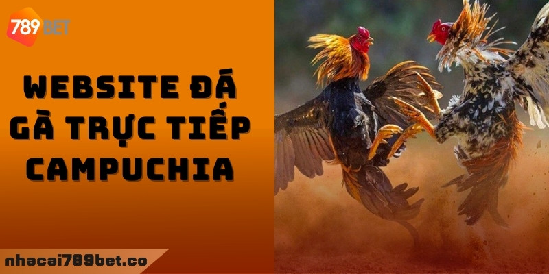 Vài dòng về bộ môn đá gà trực tiếp Campuchia