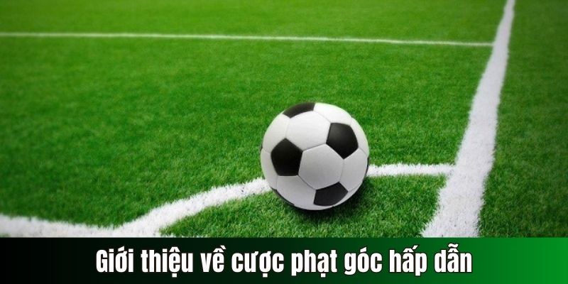 Giới thiệu về cược phạt góc hấp dẫn